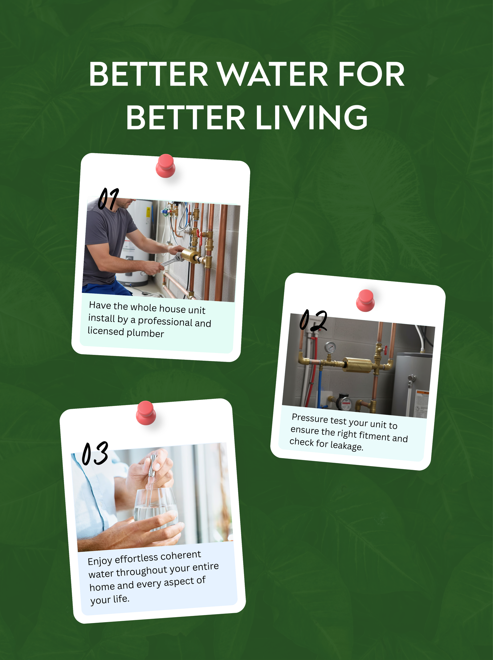 Whole House Analemma - aplus4 mobile