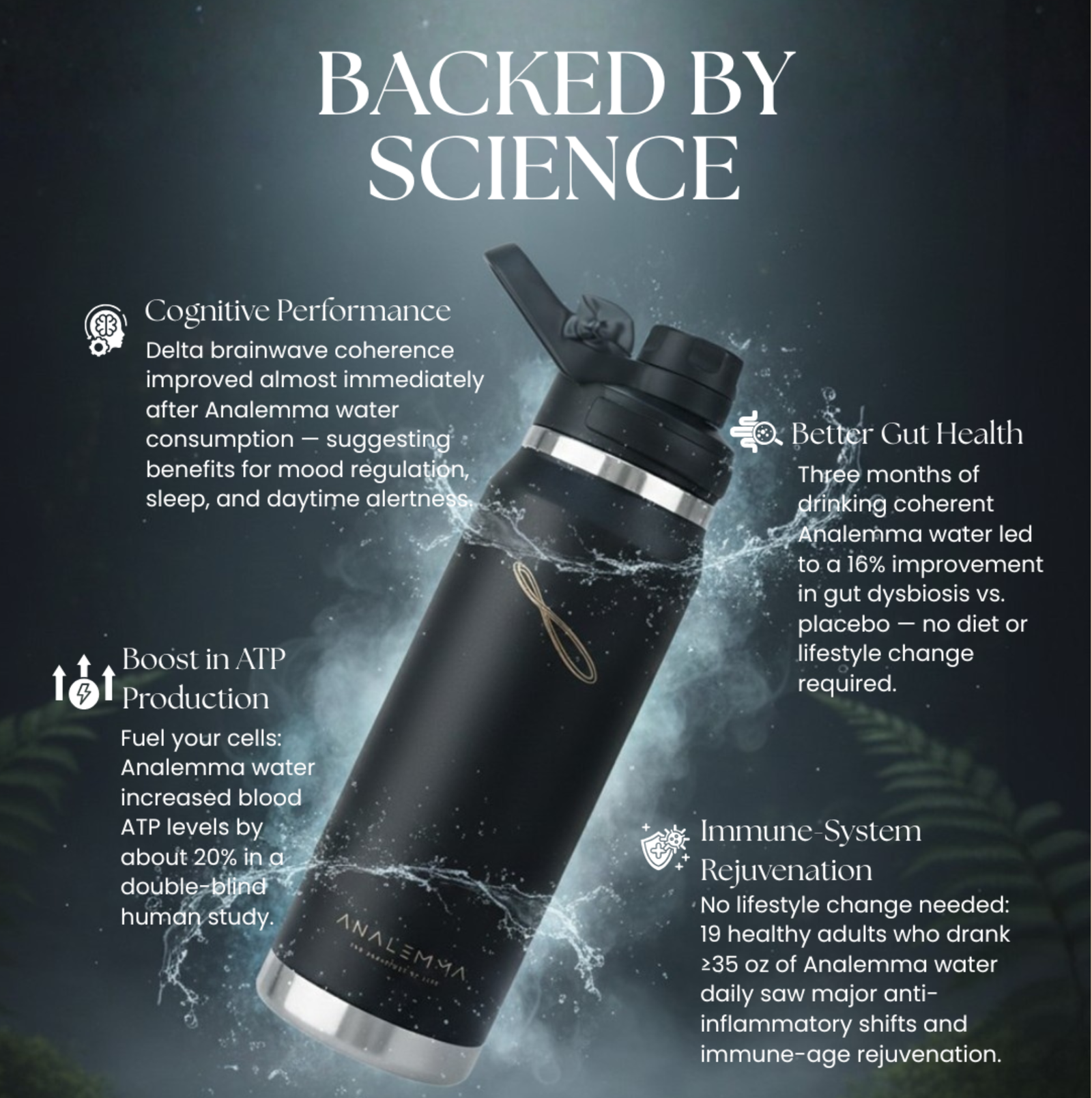 Analemma Water Bottle - aplus1 mobile